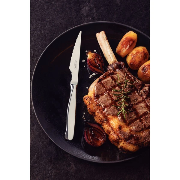 JUEGO  PARA ASADO 12PZAS ZURIQUE TRAMONTINA T669861 4
