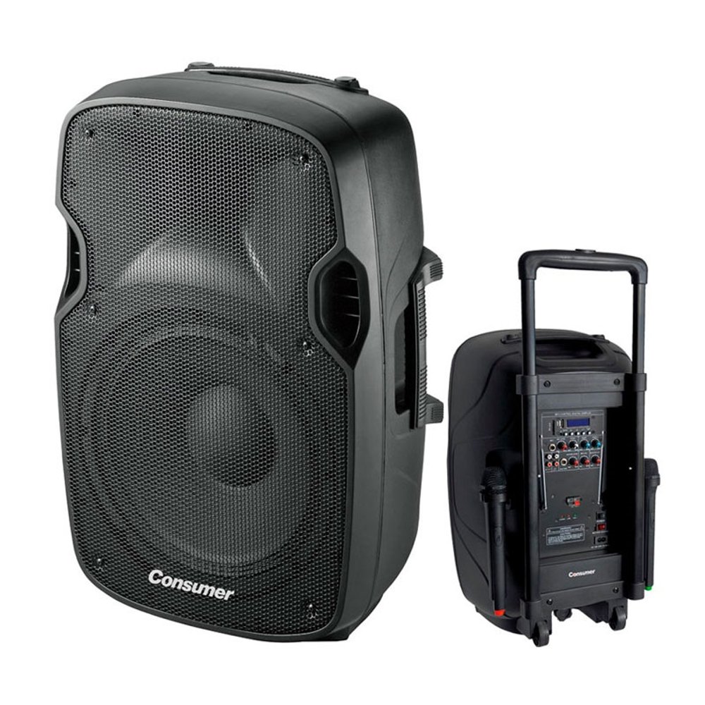 SPEAKER BOX-CONSUMER-12"